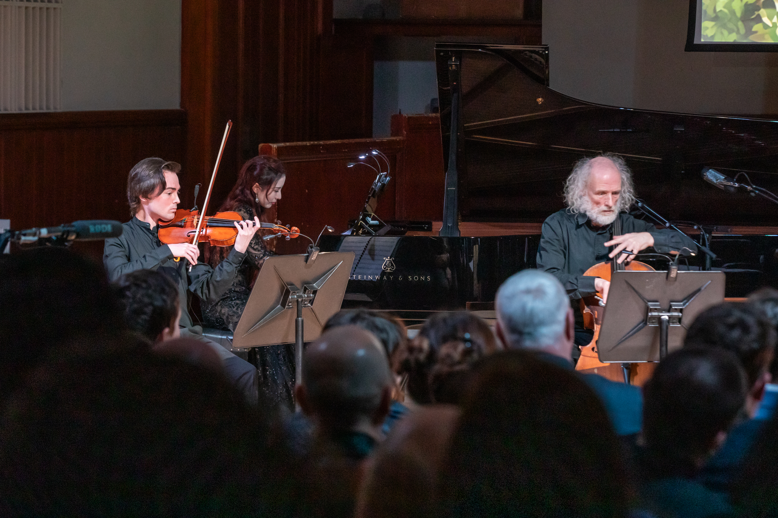 Chamber ensemble performing